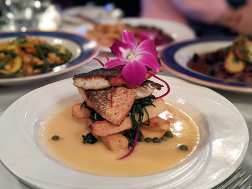 Seared fish fillet over spinach and potatoes in pale sauce with orchid garnish